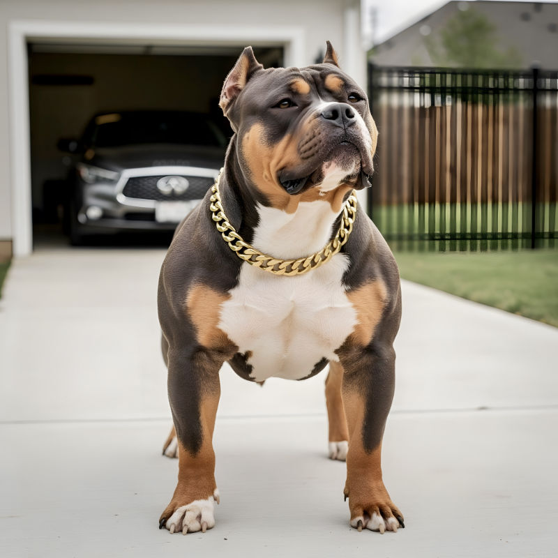 bully-female-160